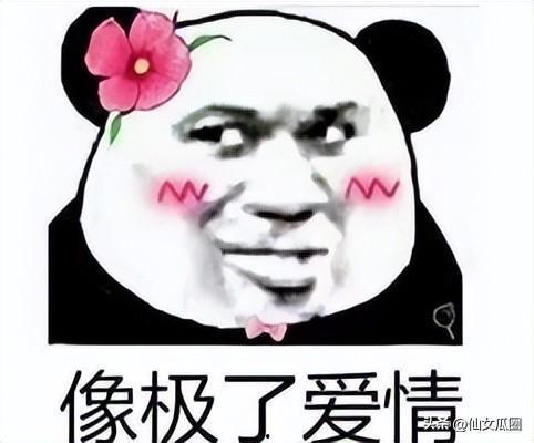 娱乐圈爆料公主号,揭秘明星背后的故事与真相